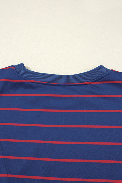Becca Blue Stripe Sweatshirt