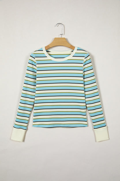 Paisley Multicolor Striped Long Sleeve Top
