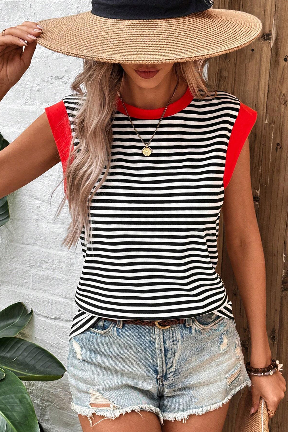 Hillary-Black Stripe Colorblock Top